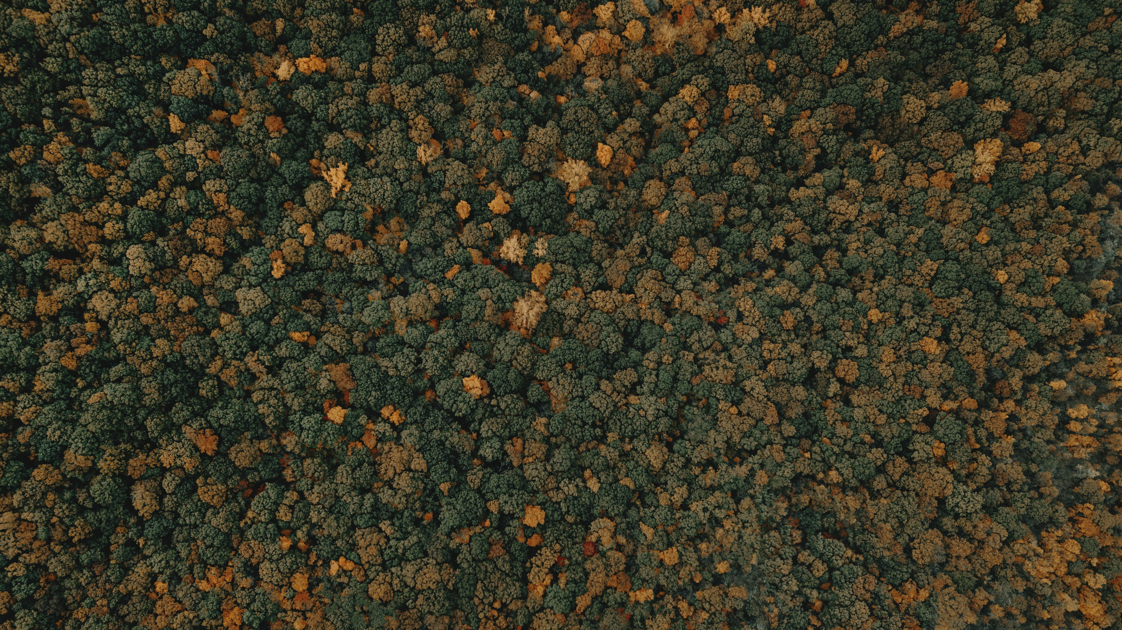 RunFuCaMg-Magnesium Oxide Granular RunFuCaMg-Magnesium Oxide Granular